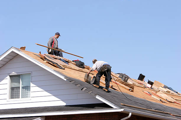 Best Roof Insulation Installation  in Layton, UT