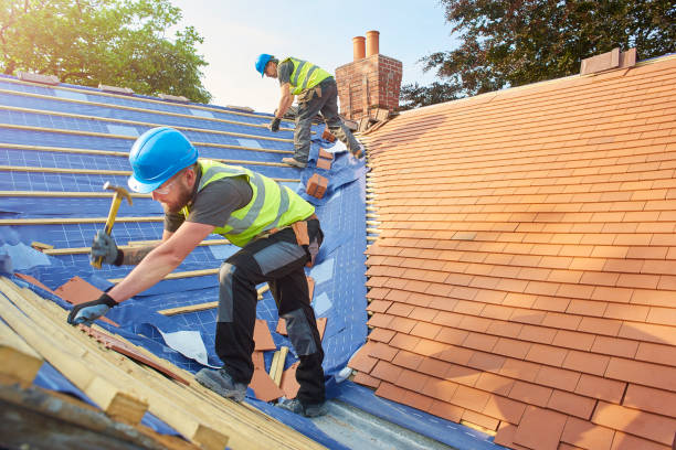 Best Metal Roofing Installation  in Layton, UT
